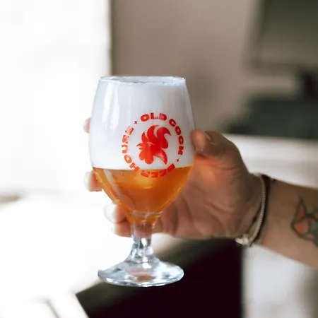 Oldcock Castle Znojmo