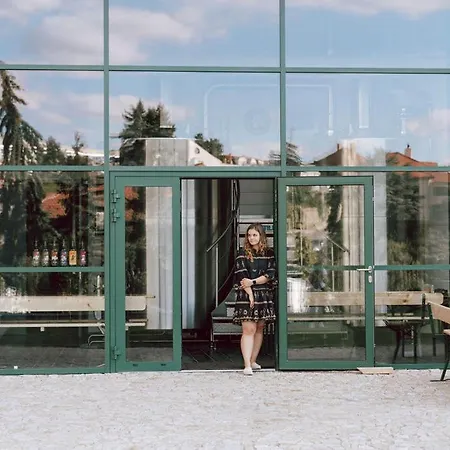 Oldcock Castle * Znojmo