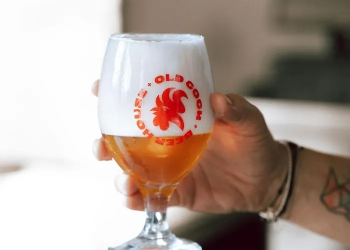 Oldcock Castle Znojmo